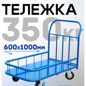 Платформенная тележка Промышленник 1000х600 ПБМ-6.10 125 ммс бортиком