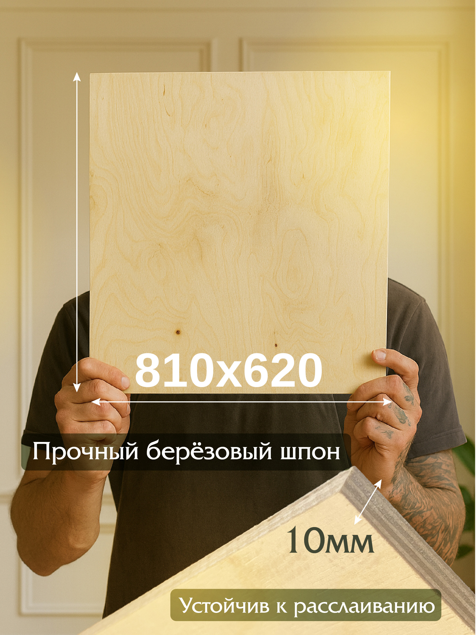 Фанера Промышленник 810х620х10мм, береза, упаковка 5 шт — изображение 2